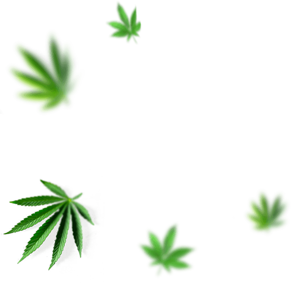 Natural leaf